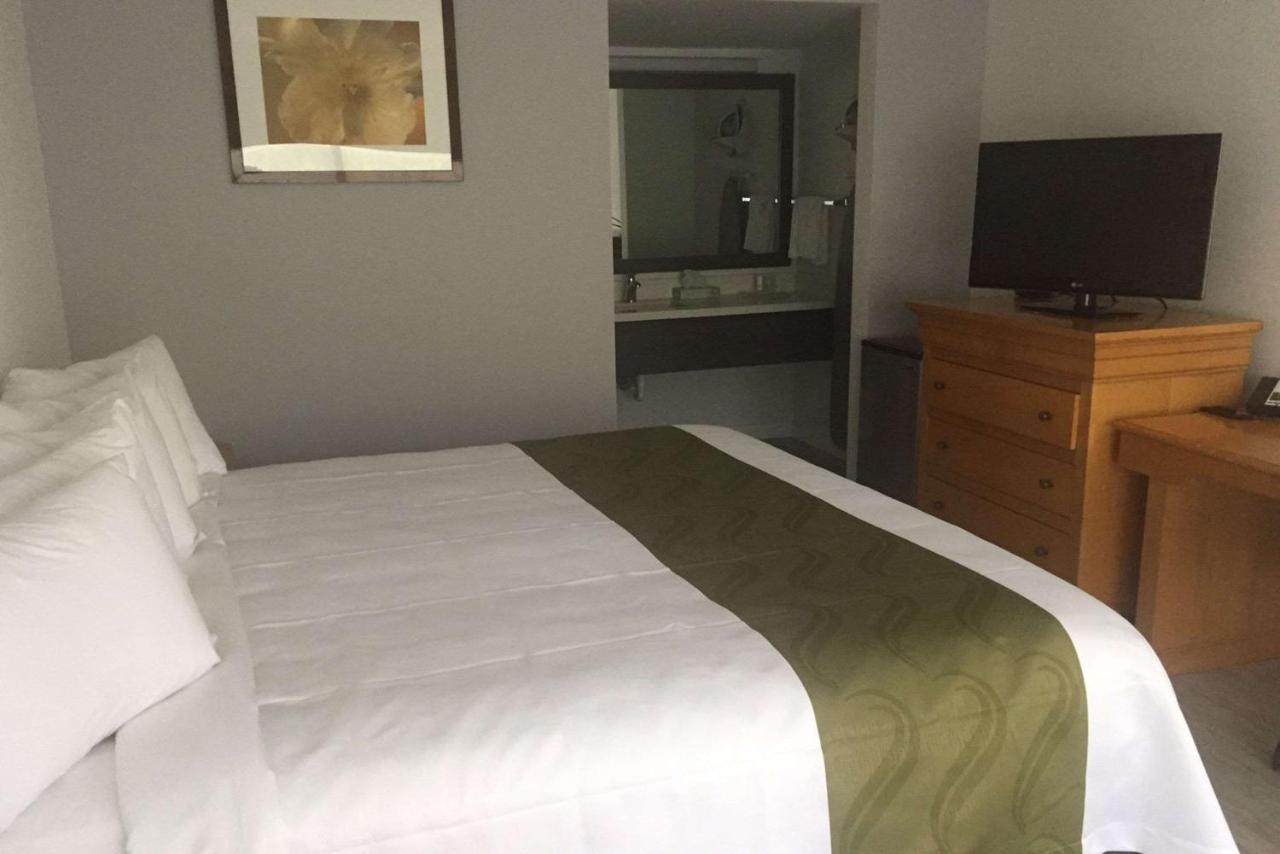Quality Inn University North I-75 Ґейнсвілл Номер фото